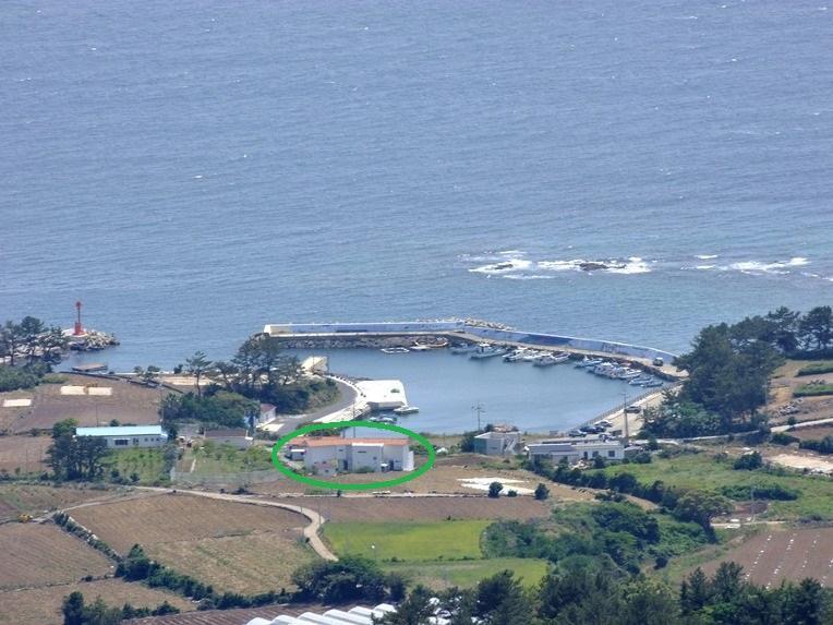 Doldam Pensión Seogwipo Exterior foto